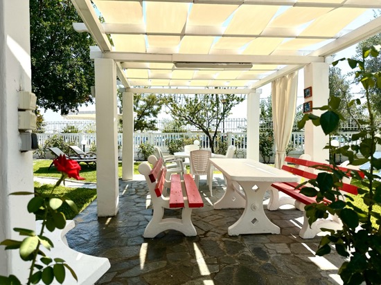 Pergola and Dining Table